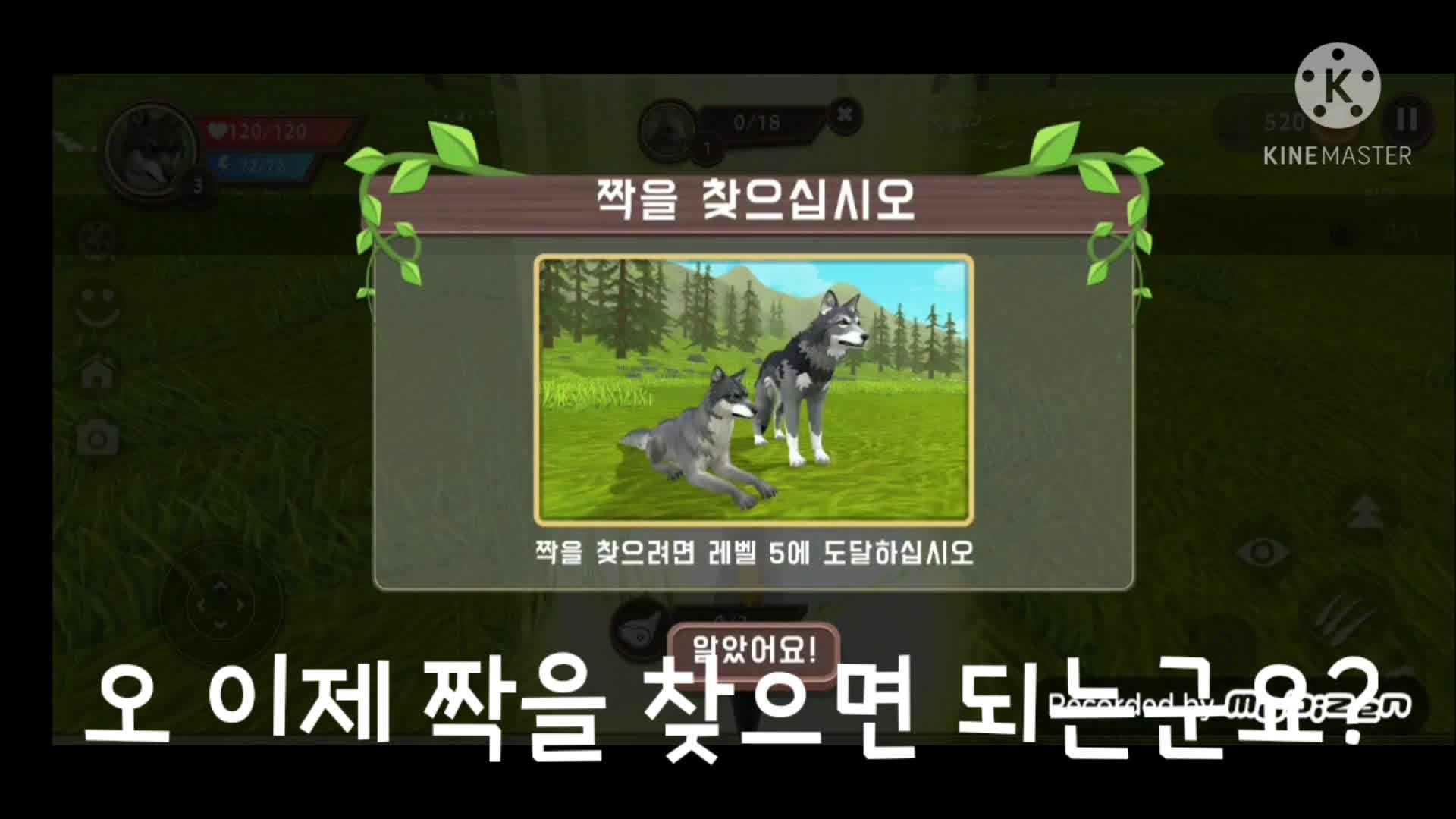 [키짤게임즈] 드디어 해보는 갓게임 야생 시뮬레이터!ㅋㅋ