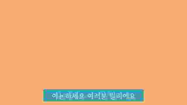 |릴리TV리르| 소개영상 :)