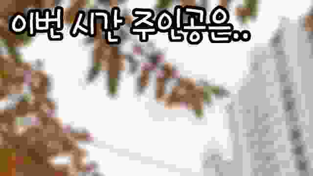 [Teaser] S2 아이돌 백과사전!