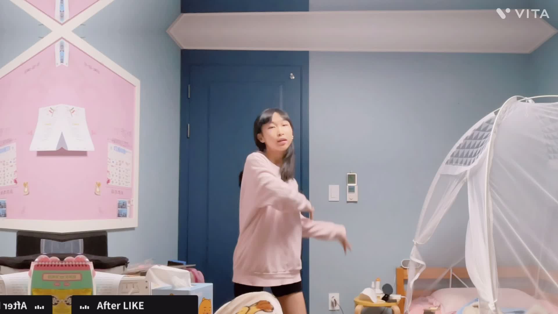 ‘좋아하다’ 다음은 뭐니? What’s After “like”? 👍🏻