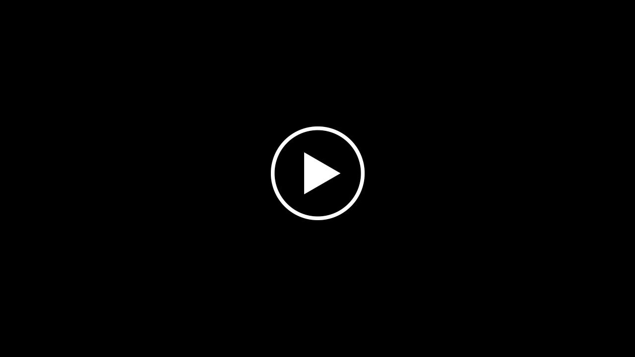 🐯 이날치 - 노래모음/범내려온다/별주부/어류도감 🐯